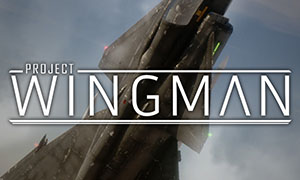 僚机计划 v1.0-v1.0.4 十三项修改器 [更新] - Project Wingman