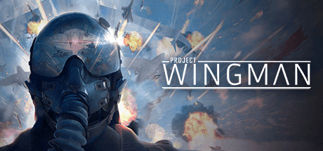 僚机计划 - Project Wingman(L126)