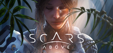 遍体鳞伤/伤痕累累 - Scars Above(B66)